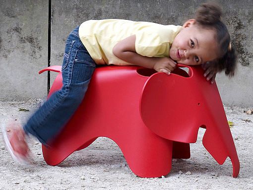pon-un-elefante-en-su-vida pon-un-elefante-en-su-vida