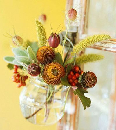 miscelanea-otonal miscelanea-otonal