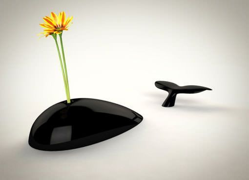 ballena negra ballena negra