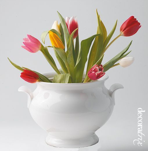 sopera florero-decoratrix.com sopera florero-decoratrix.com