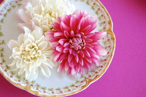 centros-de-mesa-three-dahlias-vintage-plate centros-de-mesa-three-dahlias-vintage-plate