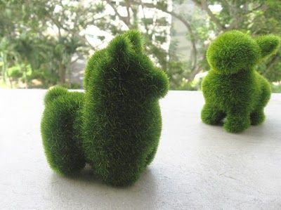 decoracion-jardin-3 decoracion-jardin-3