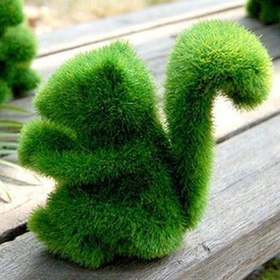 decoracion-jardin decoracion-jardin