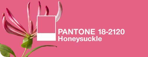 color_madreselva_pantone color_madreselva_pantone