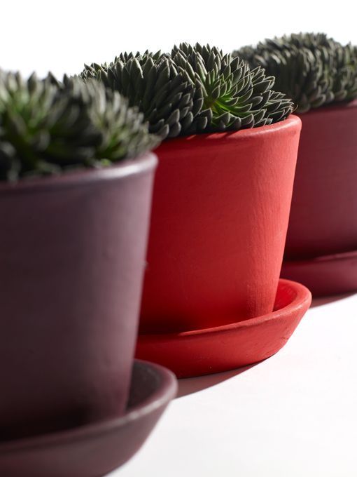 macetas_de_ceramica_colores macetas_de_ceramica_colores