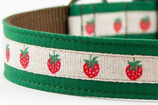 collar_perro_buddy collar_perro_buddy