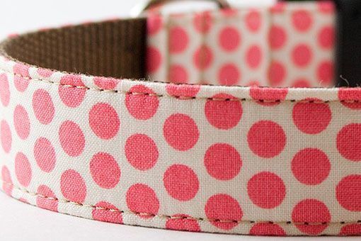 lunares_correa_collar_perro lunares_correa_collar_perro