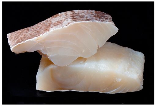 bacalao fresco bacalao fresco