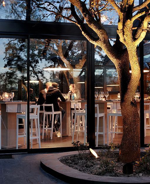 Cabaña Marconi entre encinas centenarias cabaña marconi entre encinas centenarias