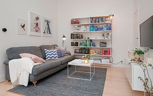 Salón de un apartamento femenino Salón de un apartamento femenino