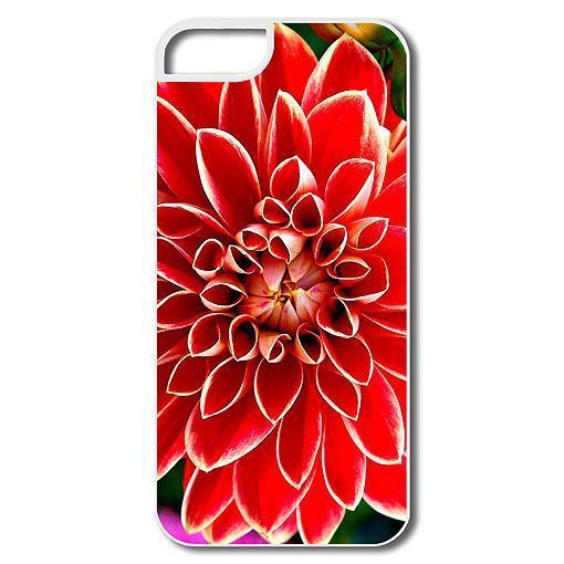 Funda para iphone5 con estampado de dalia Funda para iphone5 con estampado de dalia