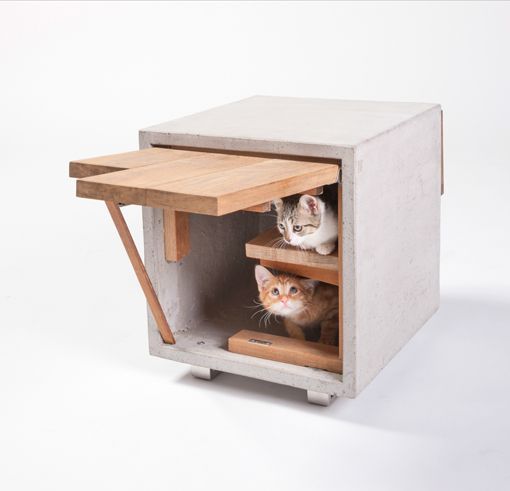 Casas de arquitecto para gatos de Standard Architecture Design Casas de arquitecto para gatos de Standard Architecture Design