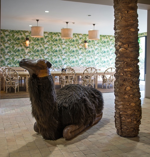 Camello de la guardería Kids Club del Hotel Royal Palm Marrakech Camello de la guardería Kids Club del Hotel Royal Palm Marrakech