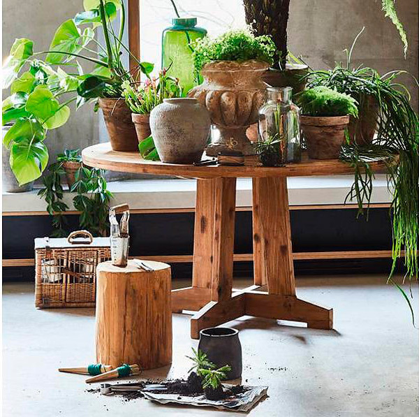 Mesa de madera con plantas en macetas de cemento, de HKliving