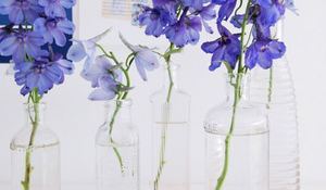 arreglos-florales-en-un-trix.jpg