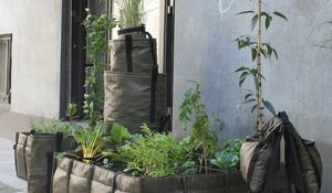 bolsas-para-sembrar-plantas-y-hortalizas.jpg