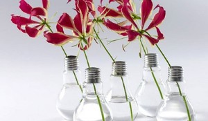 Bombillas recicladas en floreros