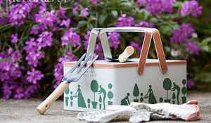 cestas-de-hojalata-para-jardineria.jpg