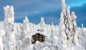 como-crees-que-es-la-cabana-de-papa-noel.jpg