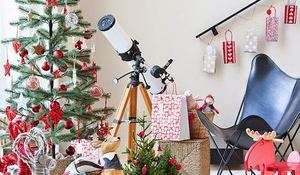 como-poner-el-arbol-de-navidad.jpg