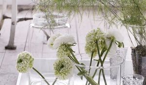 decora-con-ramas-verdes.jpg