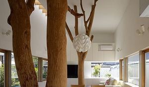 el-jardin-en-casa.jpg