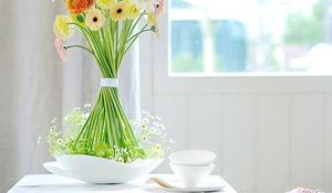 la-gerbera-planta-de-mes-de-abril.jpg