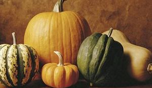 las-calabazas-protagonistas-en-hallowen.jpg