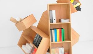 libreria-desestructurada-para-ordenar-el-caos.jpg