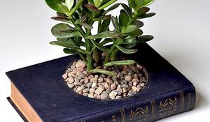 libros-cultivados.jpg