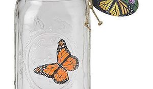 mariposas-roboticas-que-nunca-se-escapan.jpg