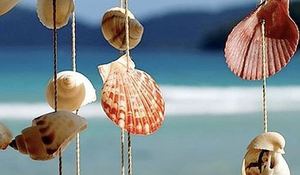 moviles-sonoros-de-conchas-marinas.jpg