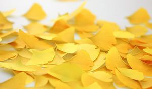 notas-adhesivas-inspiradas-en-la-naturaleza.jpg