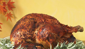 Pavo de Navidad presentado a la Decoratrix