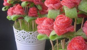 rosas-de-regaliz.jpg