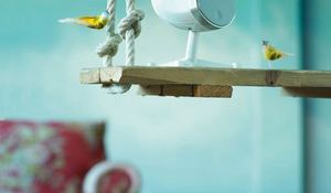 sistema-de-sonido-compacto-power-bird.jpg