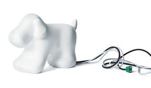 una-mascota-para-guardar-tus-cables.jpg