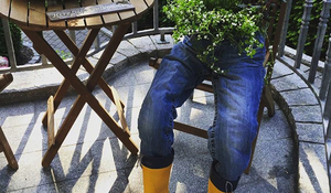 Vaqueros en la terraza