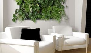 wallnatura-un-jardin-en-la-pared.jpg