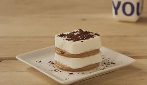 yolamisu-un-postre-casero-con-yogur-helado.jpg