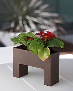 Maceteros miniatura: muro