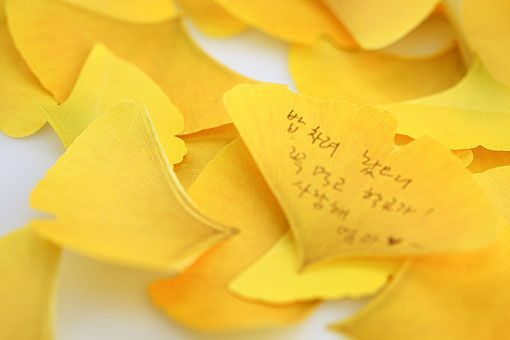 posits-en-forma-de-hojas