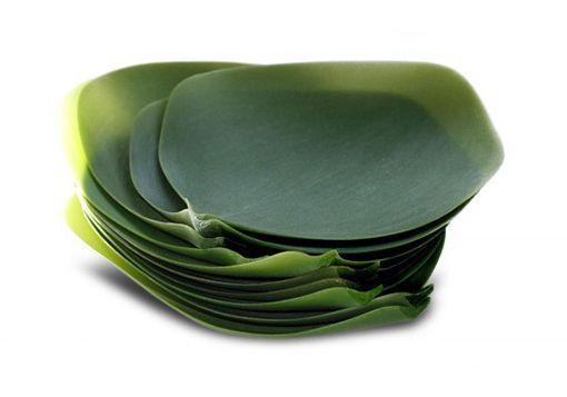 vajilla-flexible-dinnerware11