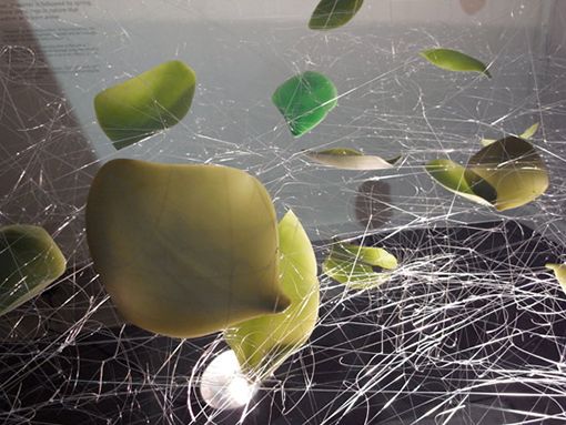 vajilla-flexible-dinnerware4