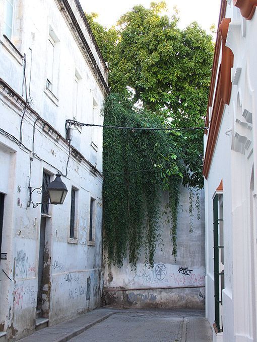 calle-de-jerez