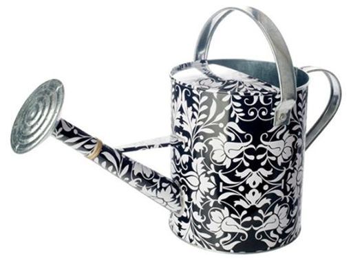 regadera_blanco_y_negro_vigar