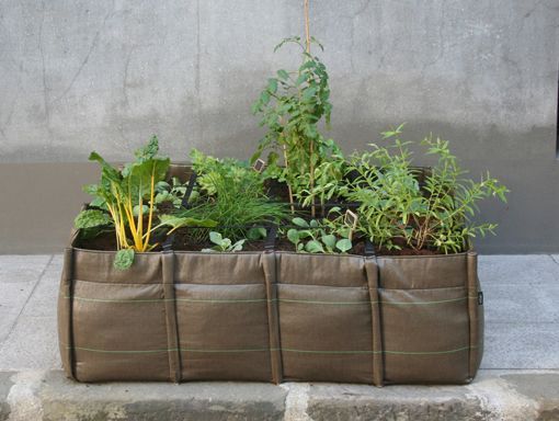 bolsa_para_vivero_plantas_aromaticas bolsa_para_vivero_plantas_aromaticas