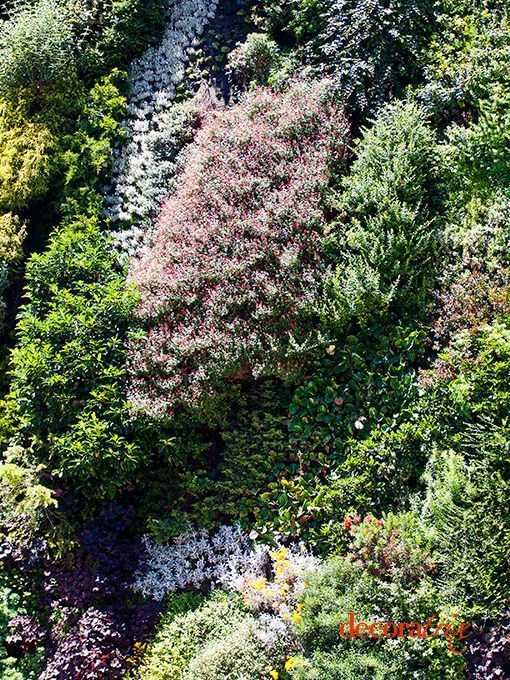 jardin_vertca_caixa_forum_madrid
