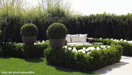jardines_diseno_verdeprofilo jardines_diseno_verdeprofilo