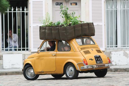 bacsac_bolsas_de_jardineria bacsac_bolsas_de_jardineria